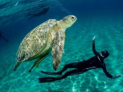 Na úvod k Freedivingu