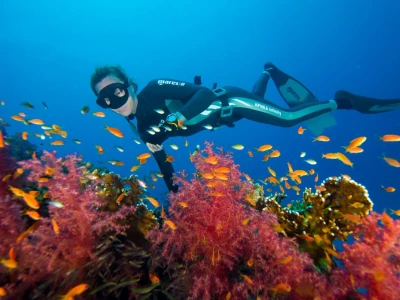Freediving