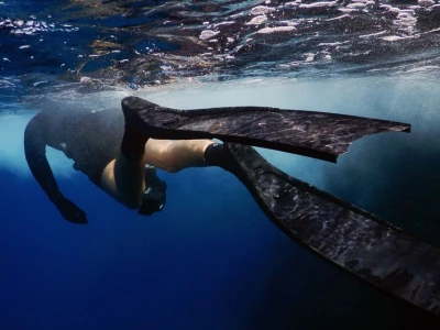 Ako vybrať plutvy na freediving?