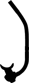 Šnorchle