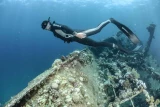 Kurz FREEDIVING LEVEL 1