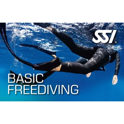 Kurz BASIC FREEDIVING