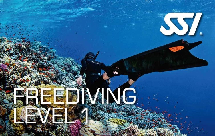 Kurz FREEDIVING LEVEL 1