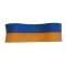 Plavecká piškóta - Monoblok Osmička Mini modrá/oranžová