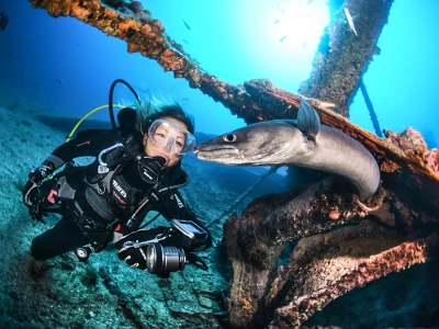 Wreck Diving